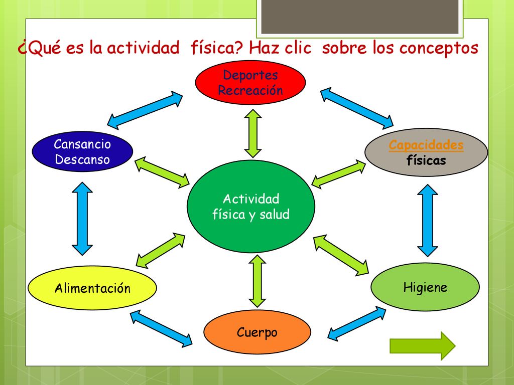 ¿Qué es la actividad física Haz clic sobre los conceptos
