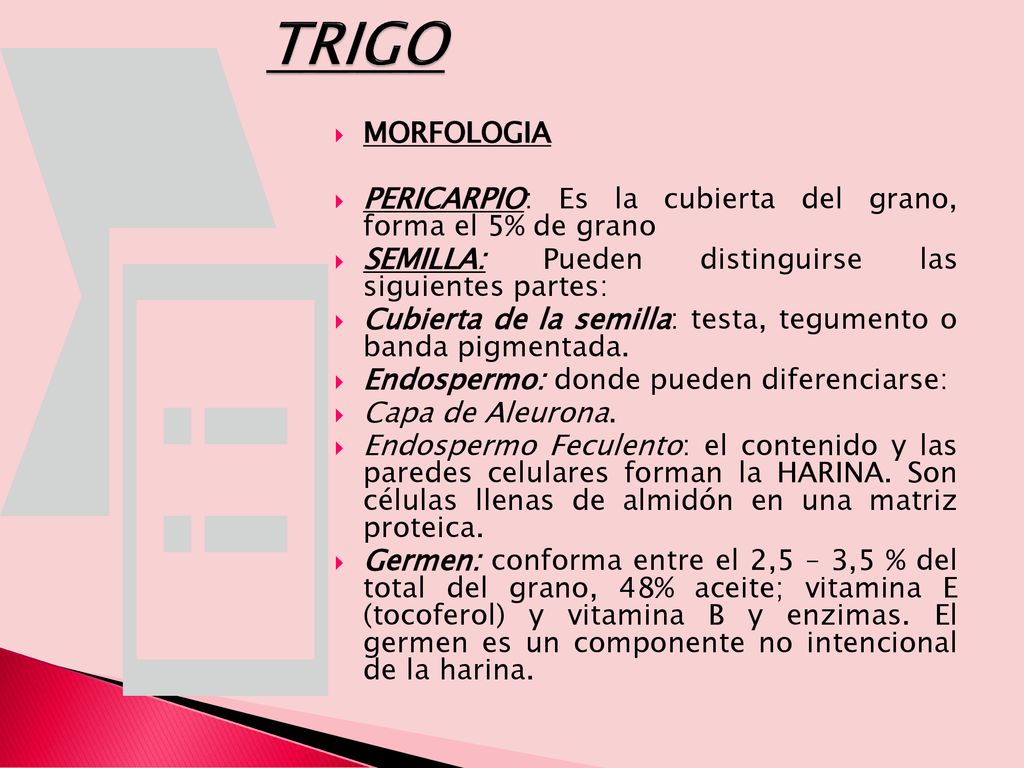 TRIGO MORFOLOGIA. PERICARPIO: Es la cubierta del grano, forma el 5% de grano. SEMILLA: Pueden distinguirse las siguientes partes:
