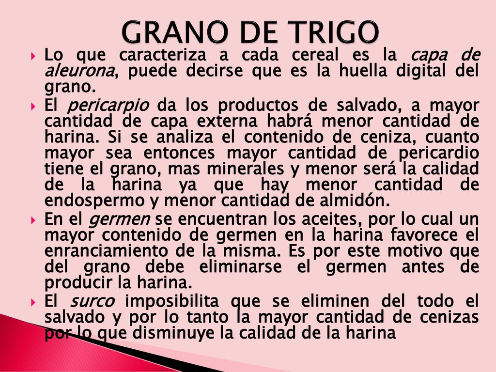 GRANO DE TRIGO Lo que caracteriza a cada cereal es la capa de aleurona, puede decirse que es la huella digital del grano.