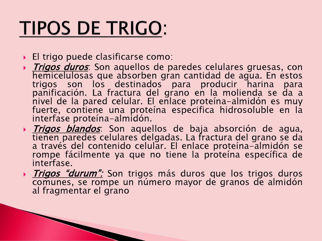 TIPOS DE TRIGO: El trigo puede clasificarse como: