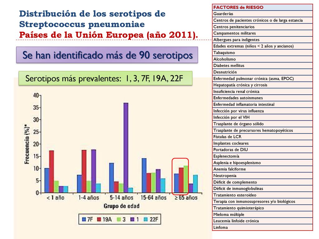 Serotipos más prevalentes: 1, 3, 7F, 19A, 22F