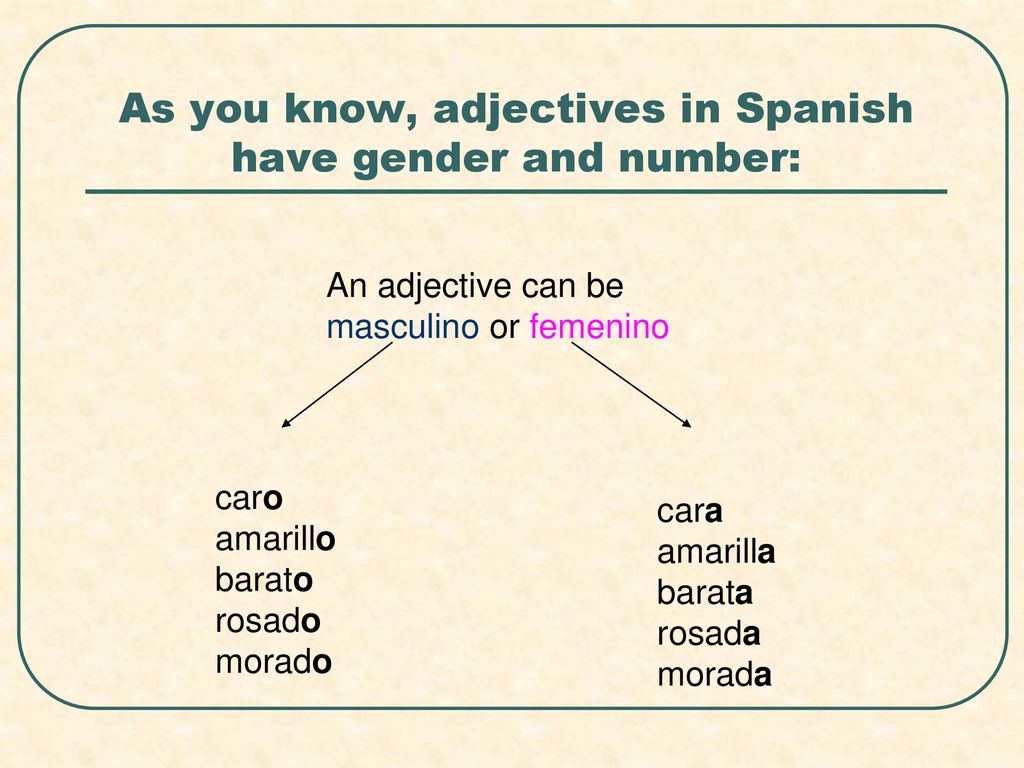 As you know, adjectives in Spanish have gender and number: