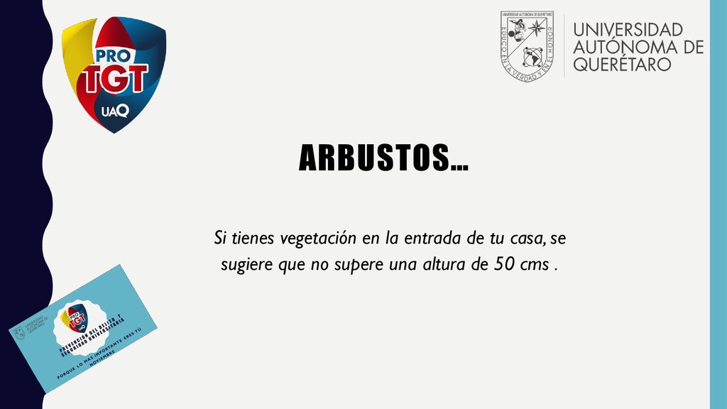 Arbustos… Si tienes vegetación en la entrada de tu casa, se sugiere que no supere una altura de 50 cms .
