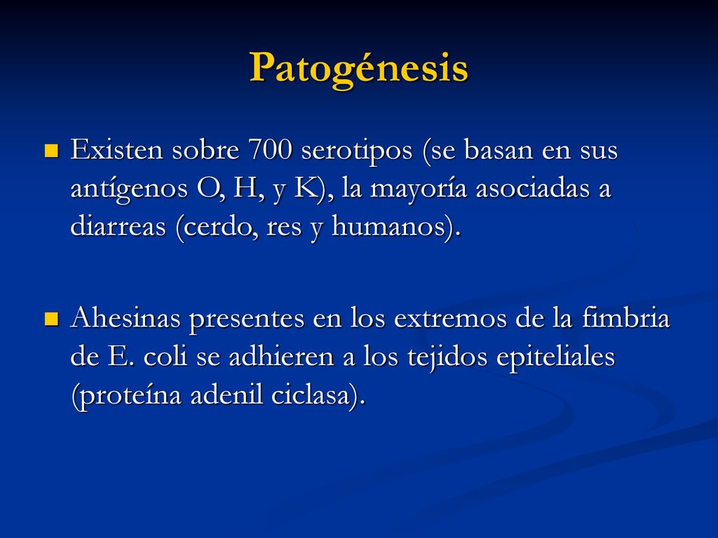 Patogénesis Existen sobre 700 serotipos (se basan en sus antígenos O, H, y K), la mayoría asociadas a diarreas (cerdo, res y humanos).