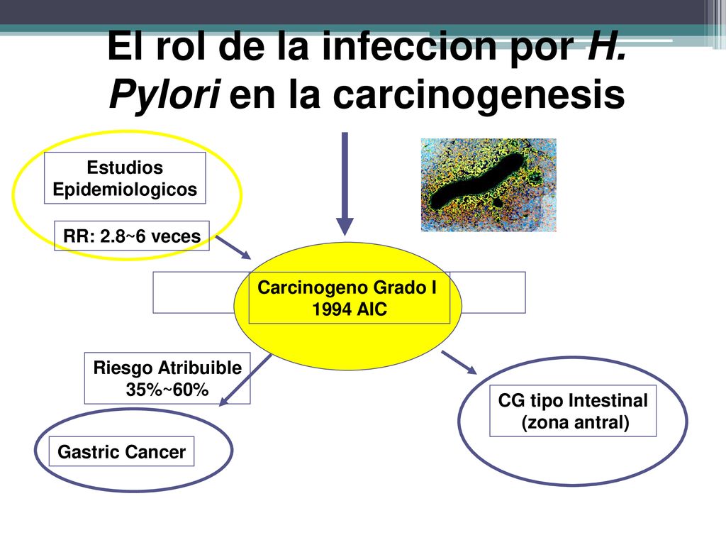 El rol de la infeccion por H. Pylori en la carcinogenesis