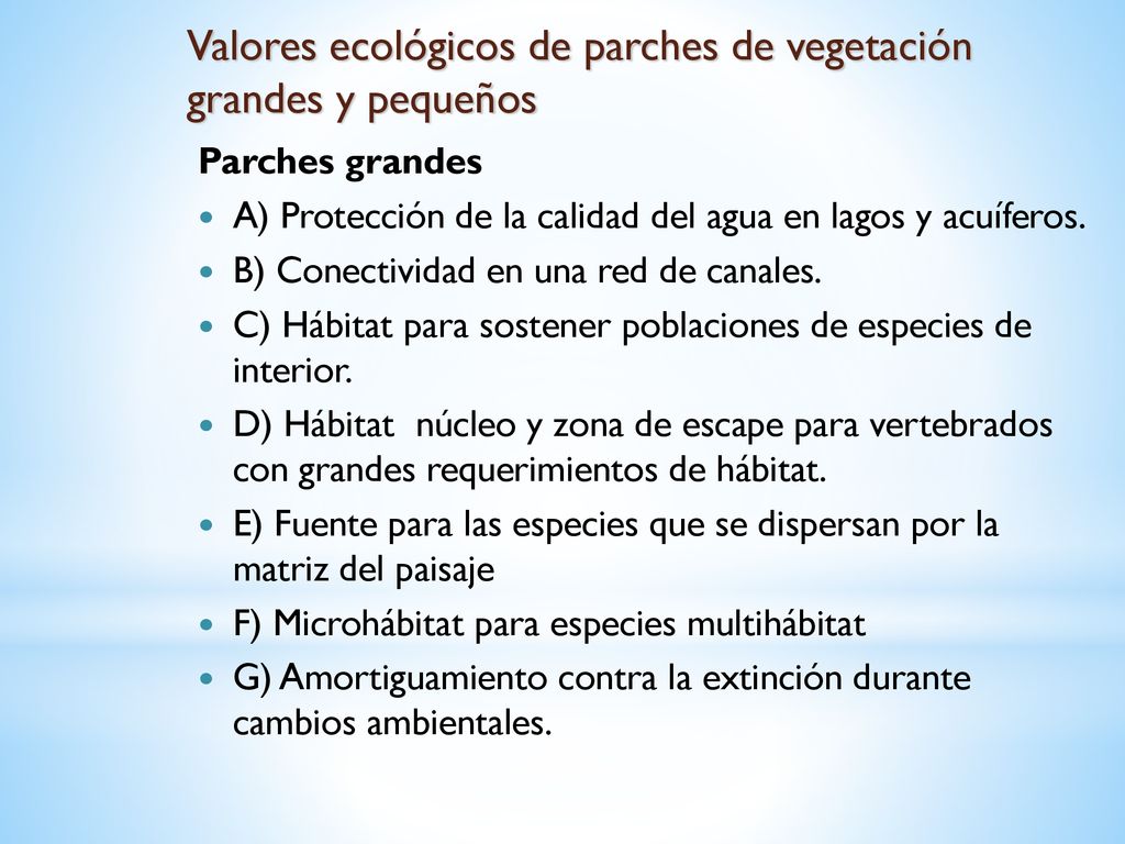 Valores ecológicos de parches de vegetación grandes y pequeños