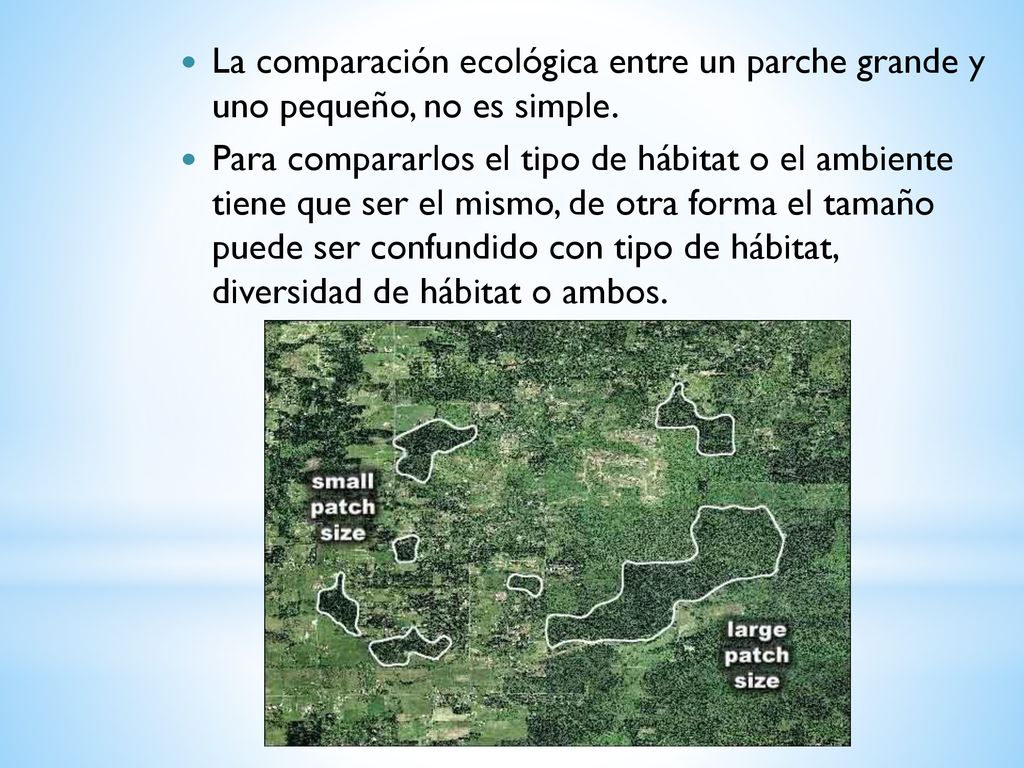 La comparación ecológica entre un parche grande y uno pequeño, no es simple.