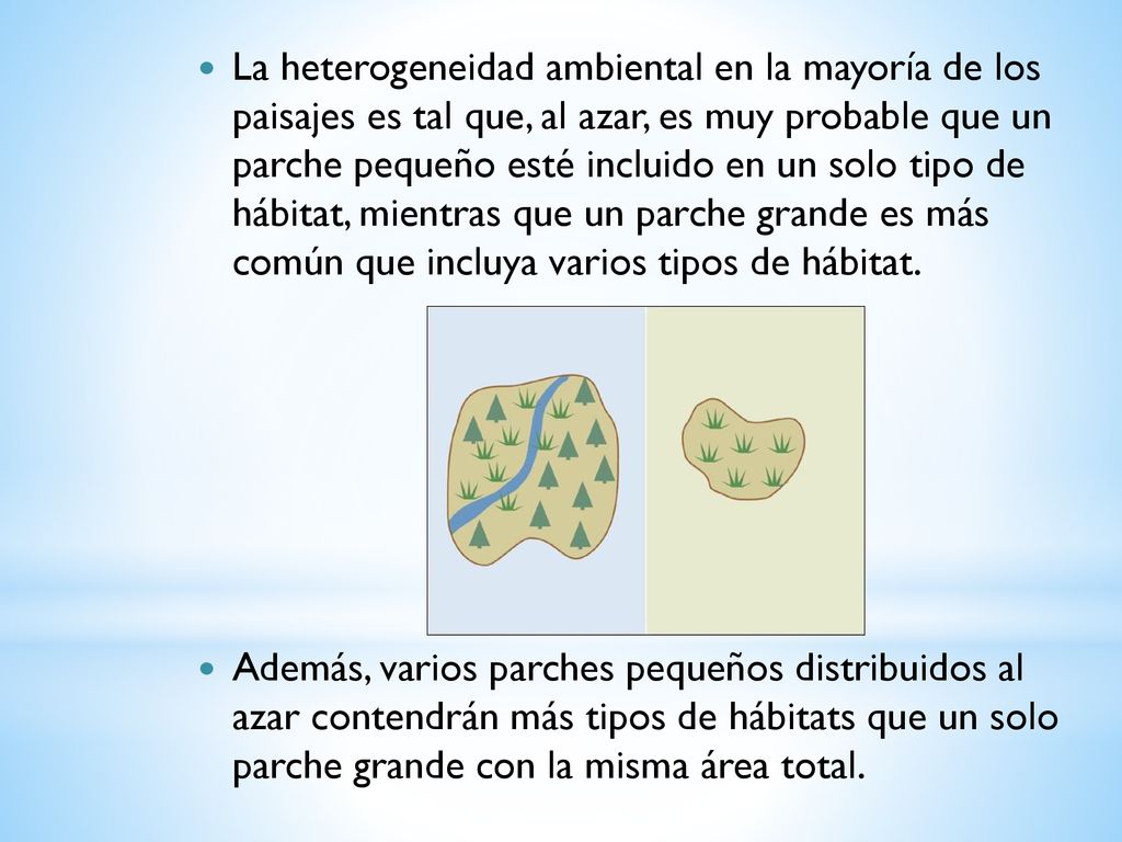 La heterogeneidad ambiental en la mayoría de los paisajes es tal que, al azar, es muy probable que un parche pequeño esté incluido en un solo tipo de hábitat, mientras que un parche grande es más común que incluya varios tipos de hábitat.