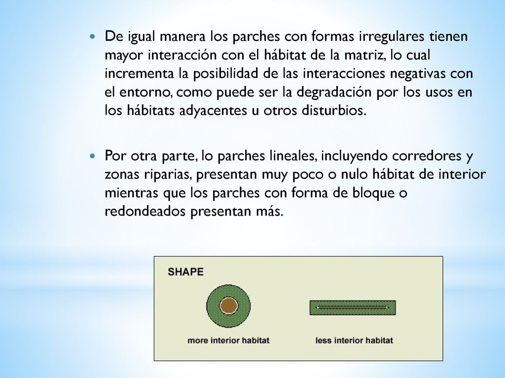 De igual manera los parches con formas irregulares tienen mayor interacción con el hábitat de la matriz, lo cual incrementa la posibilidad de las interacciones negativas con el entorno, como puede ser la degradación por los usos en los hábitats adyacentes u otros disturbios.