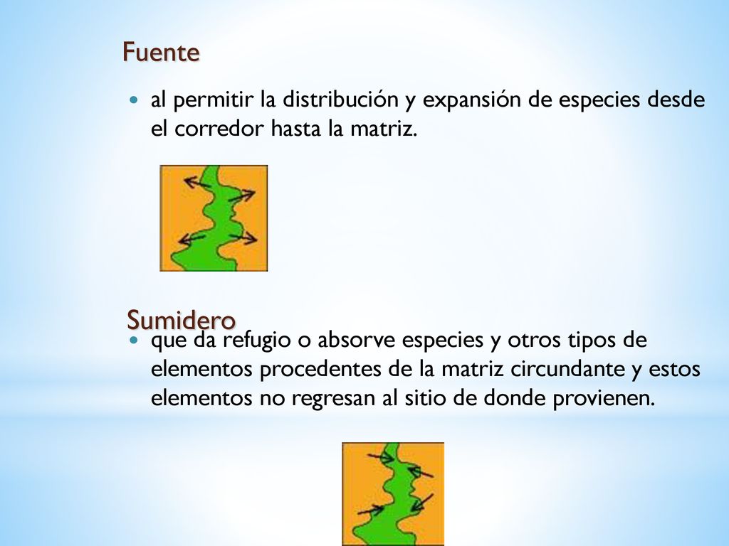 Fuente al permitir la distribución y expansión de especies desde el corredor hasta la matriz.
