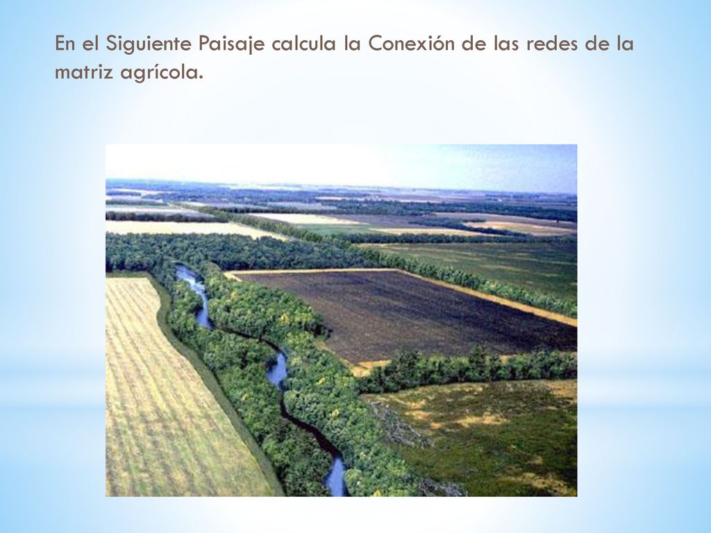 En el Siguiente Paisaje calcula la Conexión de las redes de la matriz agrícola.