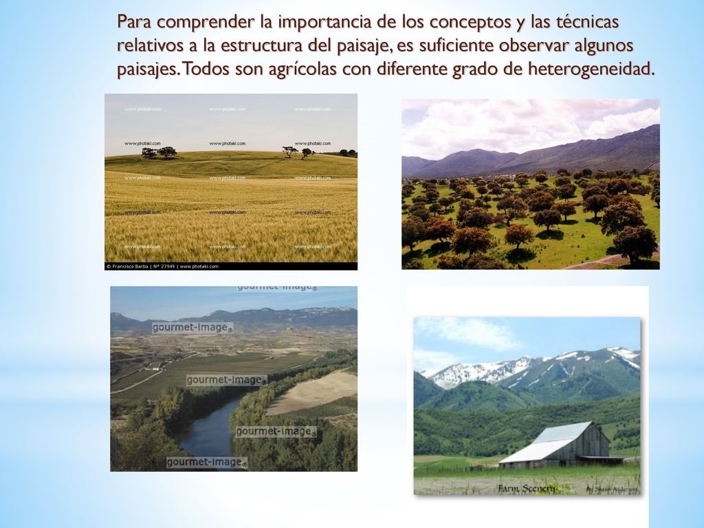 Para comprender la importancia de los conceptos y las técnicas relativos a la estructura del paisaje, es suficiente observar algunos paisajes.