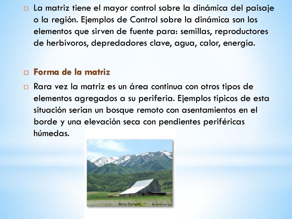 La matriz tiene el mayor control sobre la dinámica del paisaje o la región. Ejemplos de Control sobre la dinámica son los elementos que sirven de fuente para: semillas, reproductores de herbívoros, depredadores clave, agua, calor, energía.