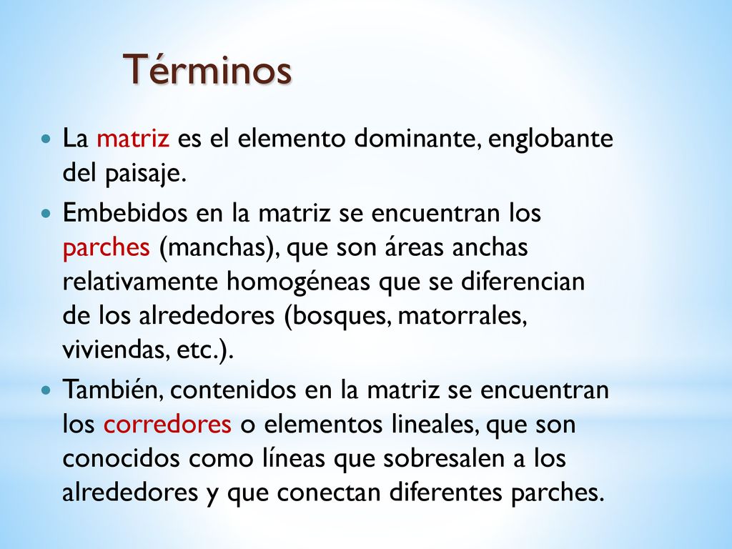 Términos La matriz es el elemento dominante, englobante del paisaje.