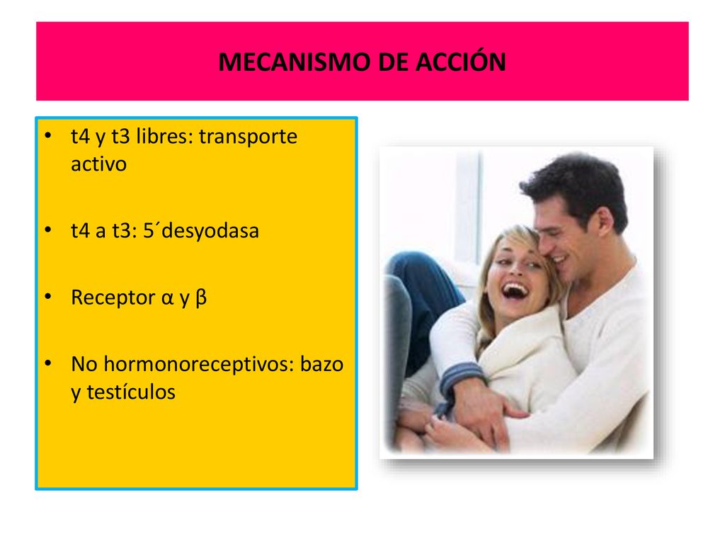 MECANISMO DE ACCIÓN t4 y t3 libres: transporte activo