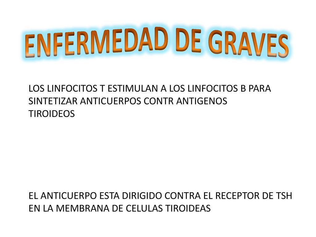 ENFERMEDAD DE GRAVES LOS LINFOCITOS T ESTIMULAN A LOS LINFOCITOS B PARA SINTETIZAR ANTICUERPOS CONTR ANTIGENOS TIROIDEOS.