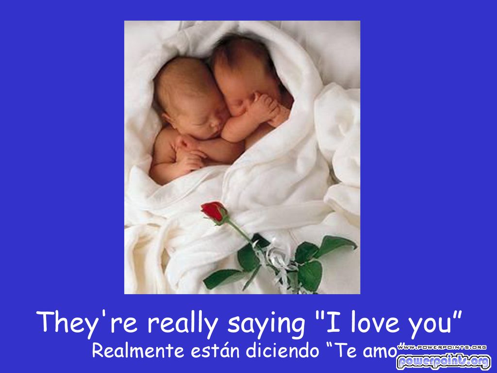 They re really saying I love you Realmente están diciendo Te amo