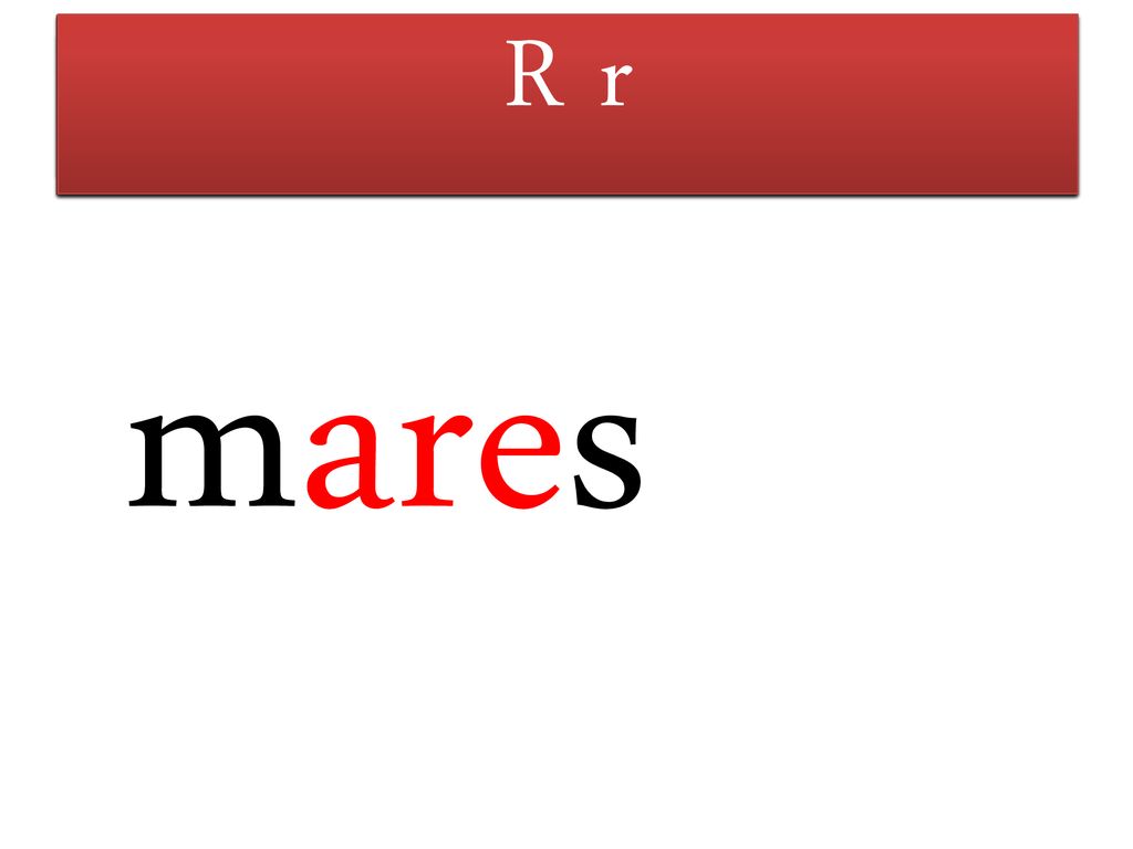 M m F f R r T t L l S s P p mares