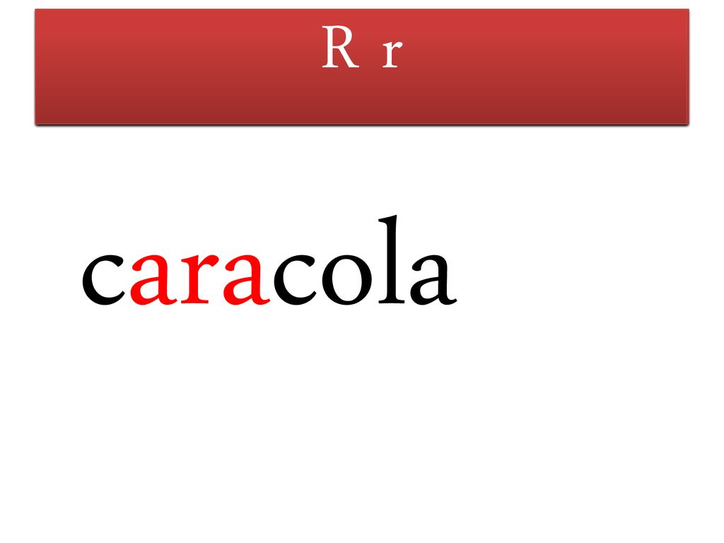 R r S s M m T t F f L l P p caracola