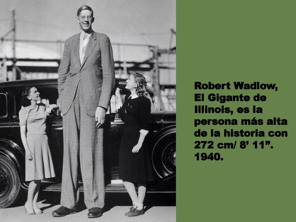 Robert Wadlow, El Gigante de Illinois, es la persona más alta de la historia con 272 cm/ 8’ 11 .