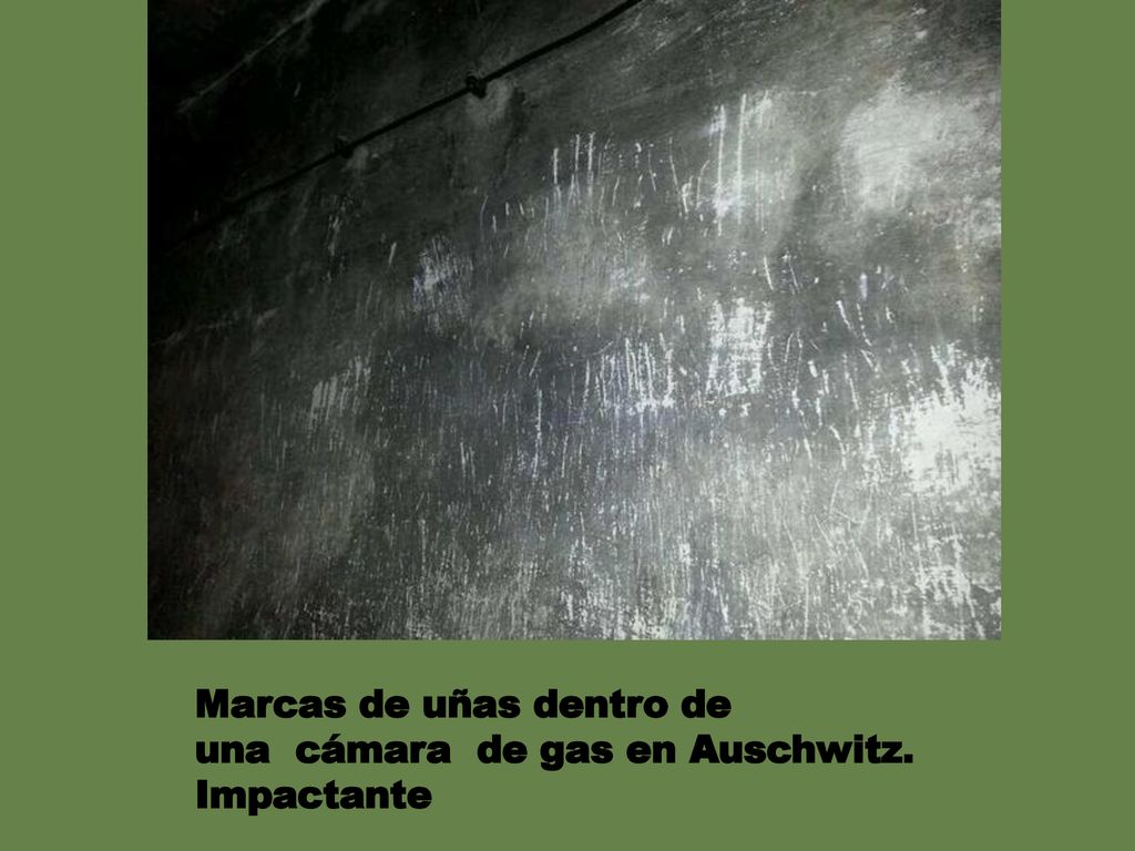 Marcas de uñas dentro de una cámara de gas en Auschwitz. Impactante