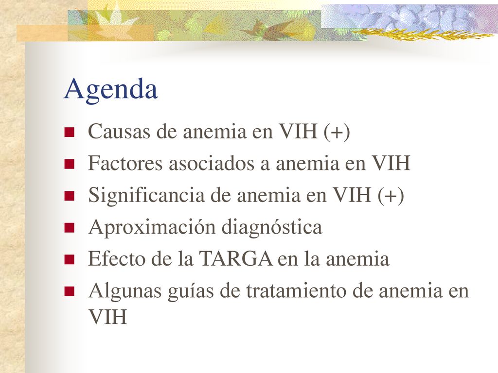Agenda Causas de anemia en VIH (+) Factores asociados a anemia en VIH