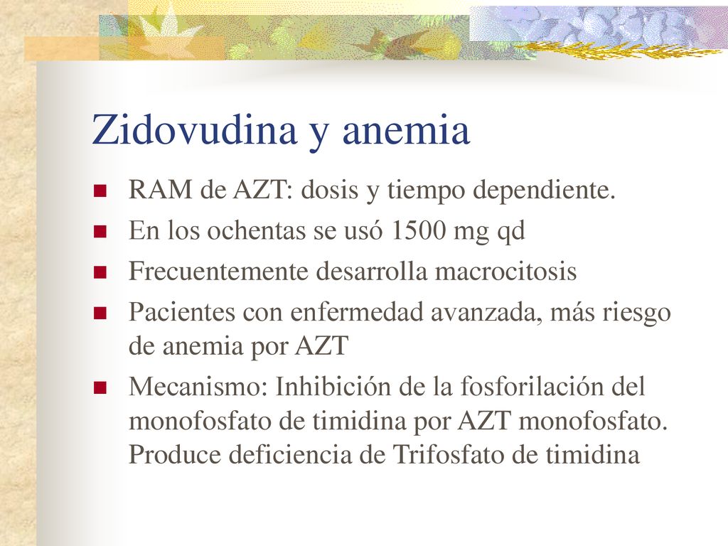 Zidovudina y anemia RAM de AZT: dosis y tiempo dependiente.