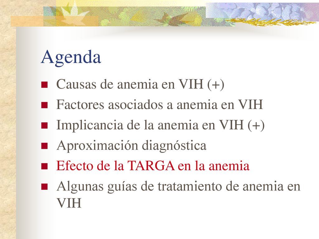 Agenda Causas de anemia en VIH (+) Factores asociados a anemia en VIH