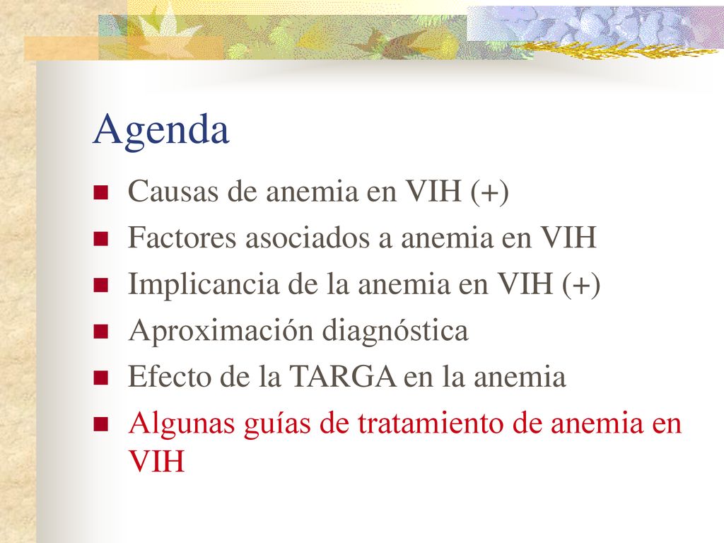 Agenda Causas de anemia en VIH (+) Factores asociados a anemia en VIH