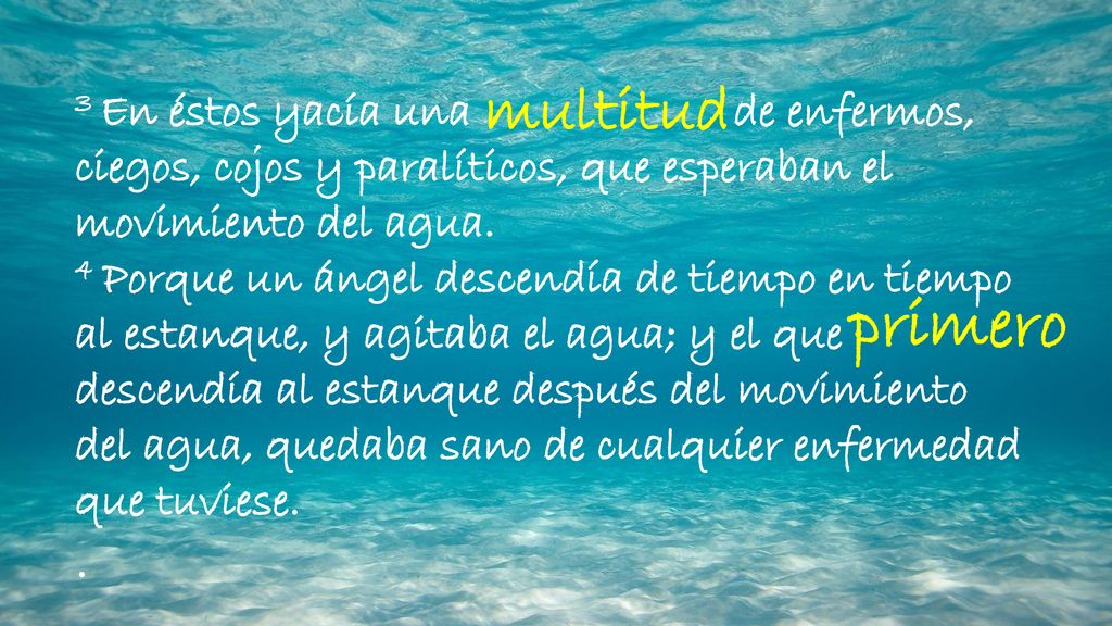 multitud 3 En éstos yacía una de enfermos, ciegos, cojos y paralíticos, que esperaban el movimiento del agua.