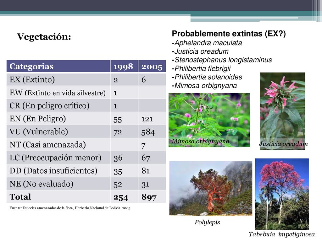 Vegetación: Probablemente extintas (EX ) Categorias