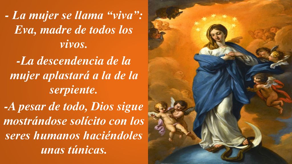 - La mujer se llama viva : Eva, madre de todos los vivos.
