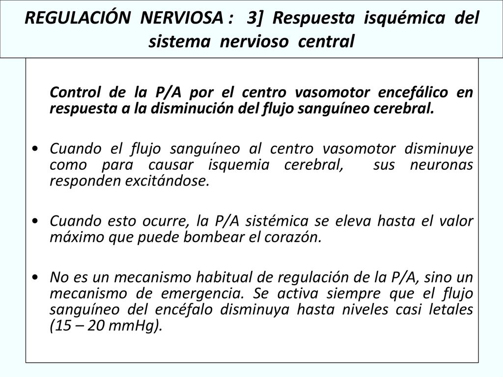 REGULACIÓN NERVIOSA : 3] Respuesta isquémica del sistema nervioso central