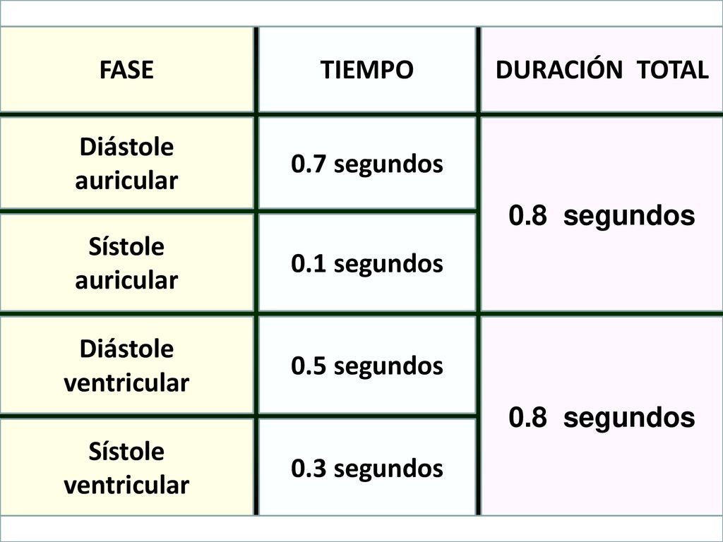 FASE TIEMPO. DURACIÓN TOTAL. Diástole. auricular. 0.7 segundos. 0.8 segundos. Sístole. auricular.