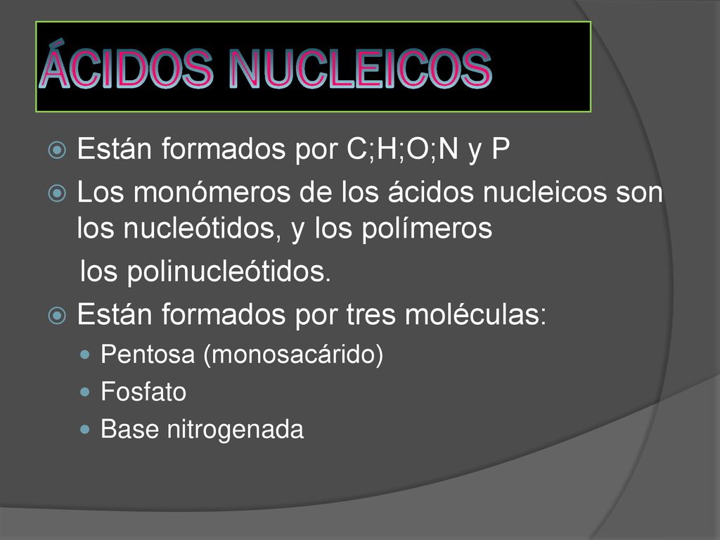 ÁCIDOS NUCLEICOS Están formados por C;H;O;N y P