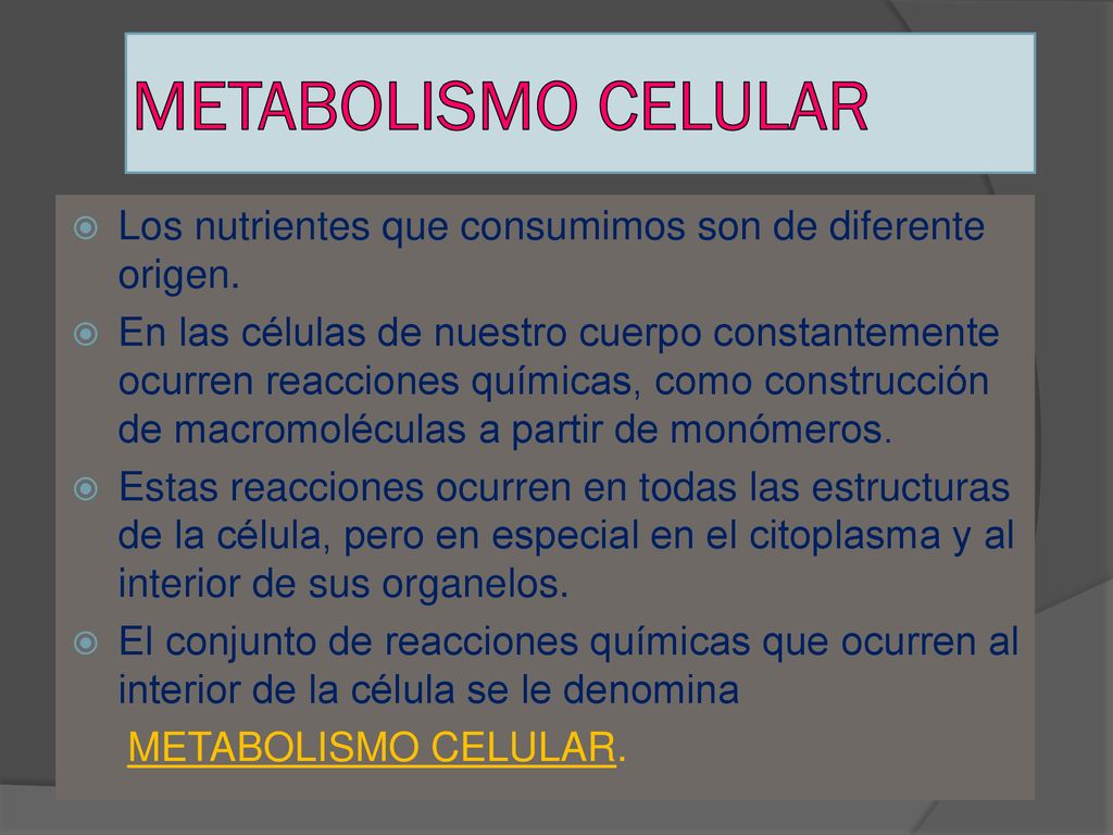 METABOLISMO CELULAR Los nutrientes que consumimos son de diferente origen.