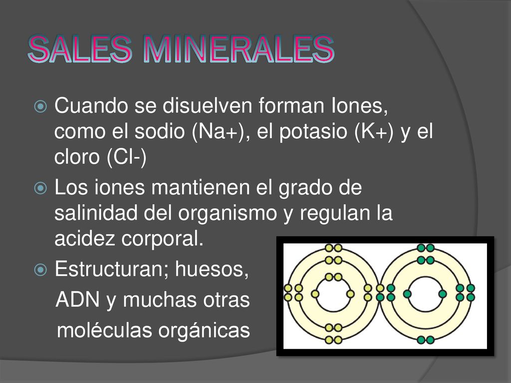 SALES MINERALES Cuando se disuelven forman Iones, como el sodio (Na+), el potasio (K+) y el cloro (Cl-)