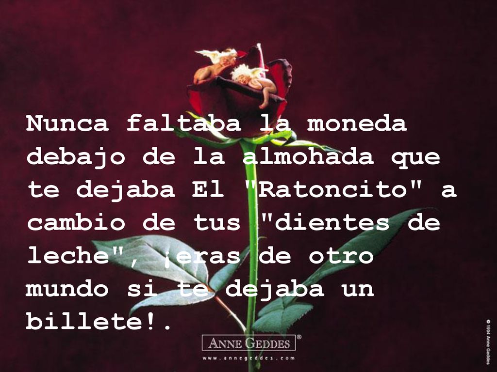 Nunca faltaba la moneda debajo de la almohada que te dejaba El Ratoncito a cambio de tus dientes de leche , ¡eras de otro mundo si te dejaba un billete!.