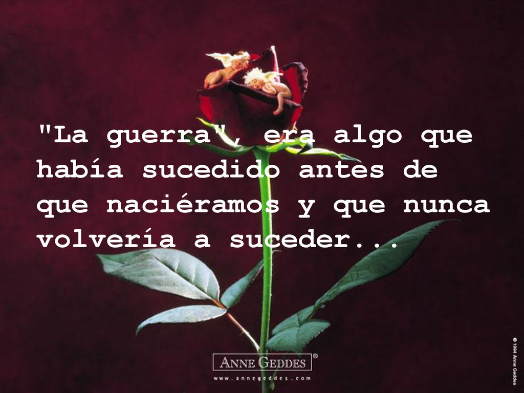 La guerra , era algo que había sucedido antes de que naciéramos y que nunca volvería a suceder...