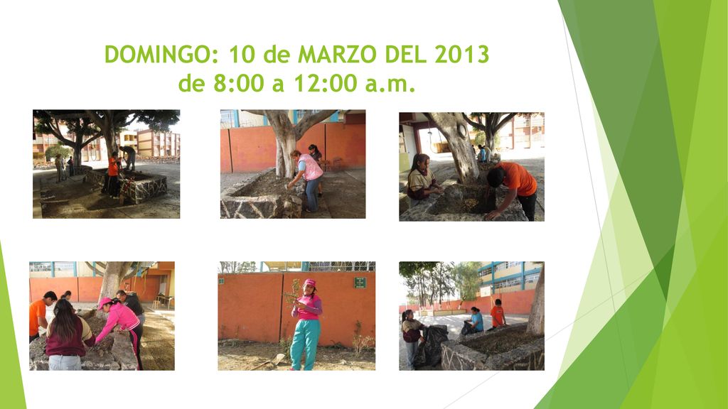 DOMINGO: 10 de MARZO DEL 2013 de 8:00 a 12:00 a.m.