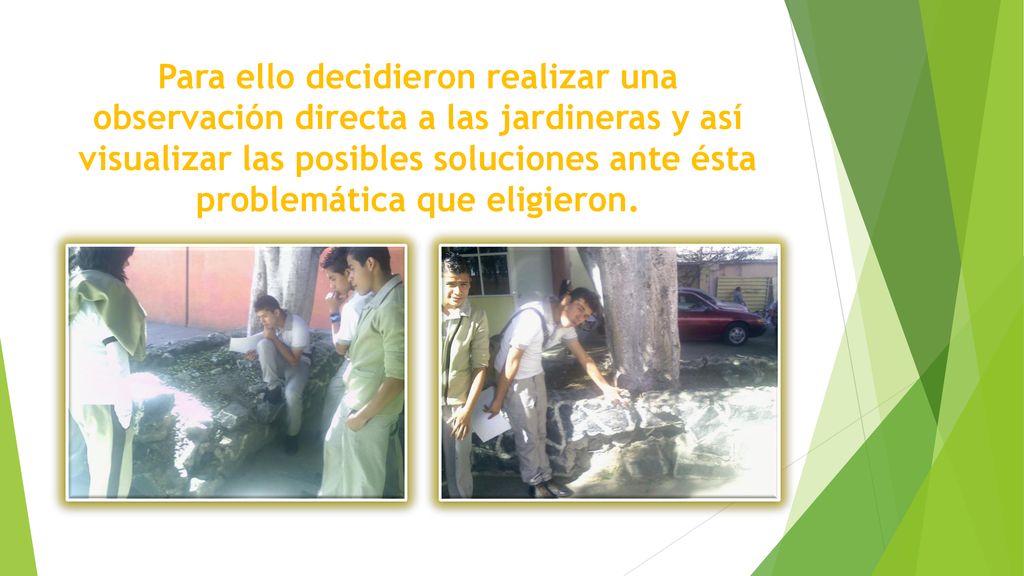 Para ello decidieron realizar una observación directa a las jardineras y así visualizar las posibles soluciones ante ésta problemática que eligieron.