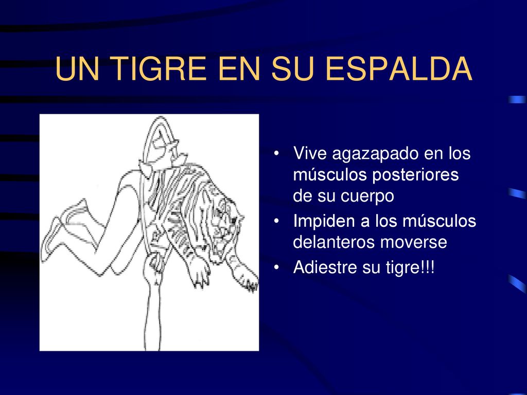 UN TIGRE EN SU ESPALDA Vive agazapado en los músculos posteriores de su cuerpo. Impiden a los músculos delanteros moverse.