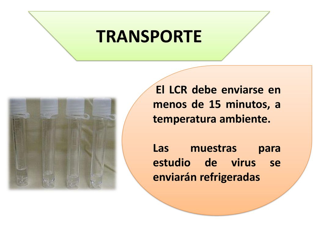 TRANSPORTE El LCR debe enviarse en menos de 15 minutos, a temperatura ambiente.