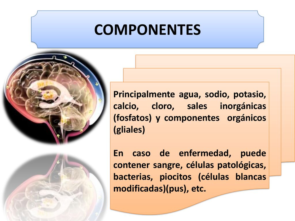 COMPONENTES Principalmente agua, sodio, potasio, calcio, cloro, sales inorgánicas (fosfatos) y componentes orgánicos (gliales)
