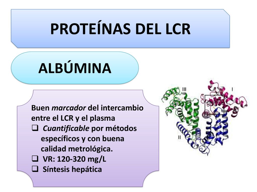 PROTEÍNAS DEL LCR ALBÚMINA Buen marcador del intercambio
