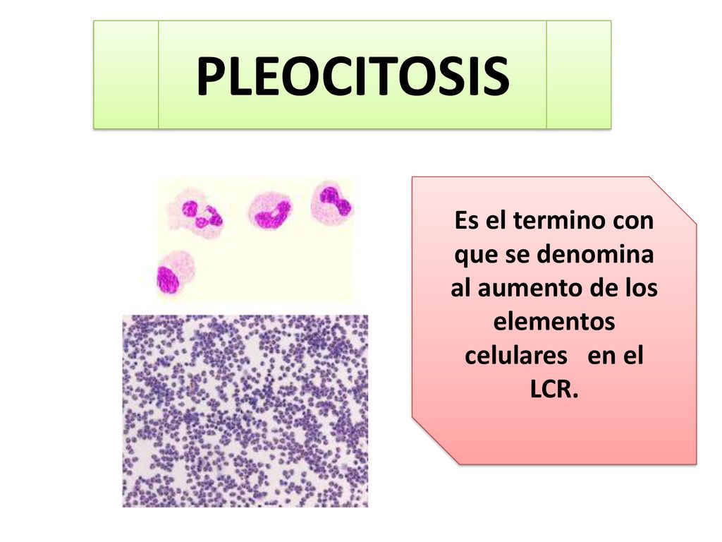 PLEOCITOSIS Es el termino con que se denomina al aumento de los elementos celulares en el LCR.