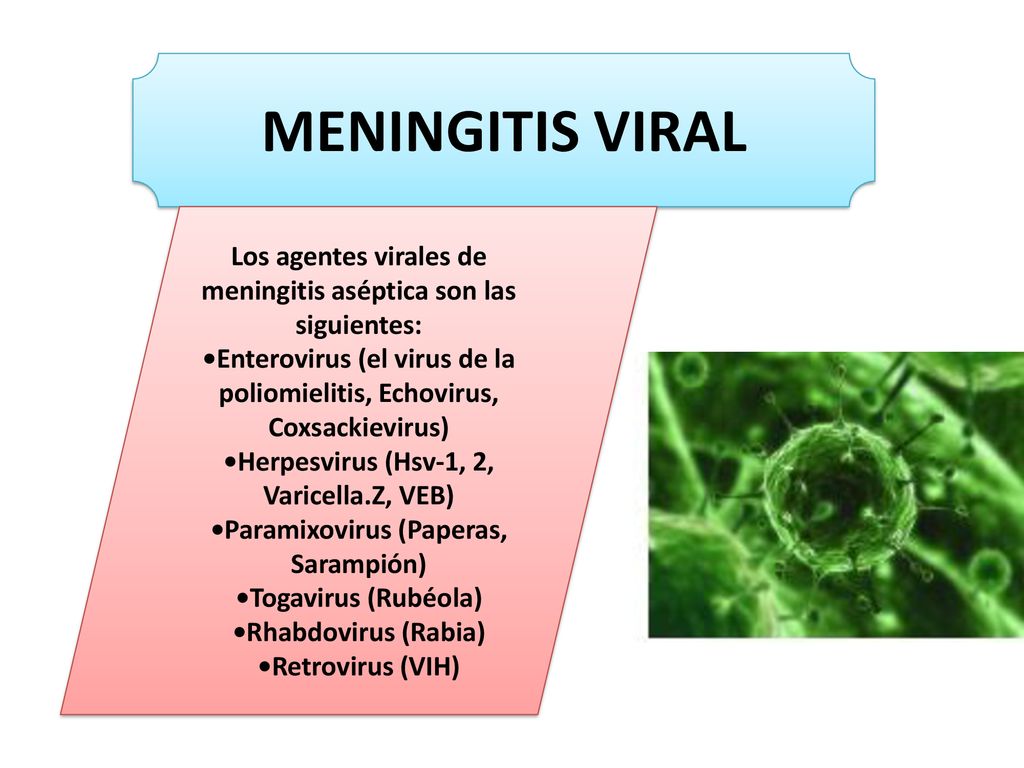 MENINGITIS VIRAL Los agentes virales de meningitis aséptica son las siguientes: