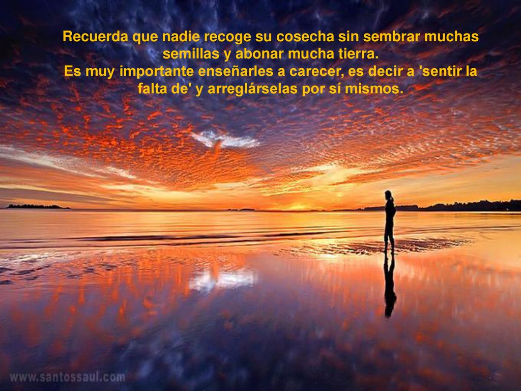 Recuerda que nadie recoge su cosecha sin sembrar muchas semillas y abonar mucha tierra.