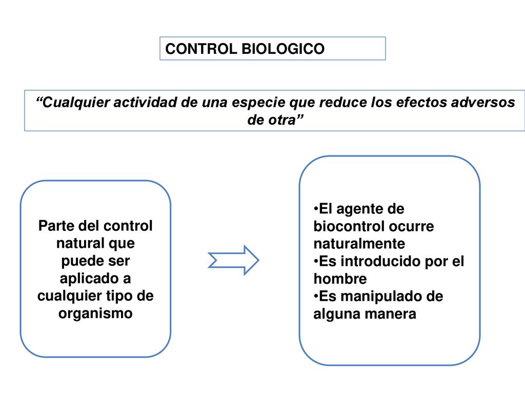 CONTROL BIOLOGICO Cualquier actividad de una especie que reduce los efectos adversos de otra El agente de biocontrol ocurre naturalmente.