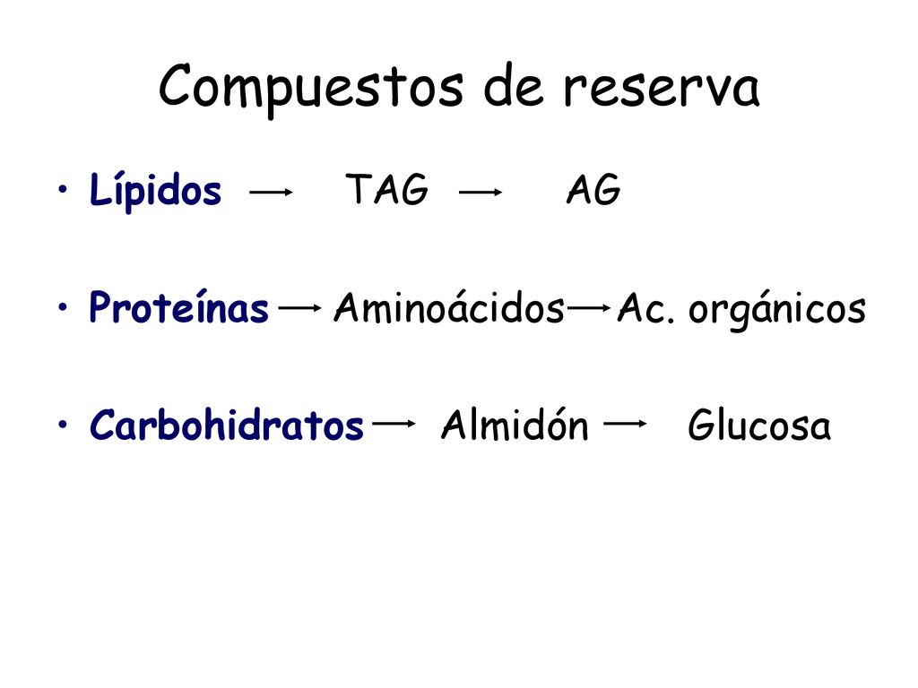 Compuestos de reserva Lípidos TAG AG